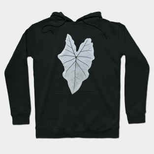 Leaf / Swiss Artwork Photography Hoodie